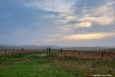 misty_morning_pasture_web thumbnail
