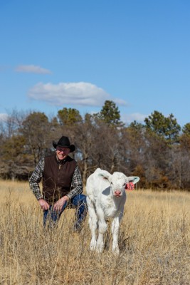 Jay with Char calf