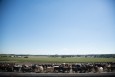 fy wide angle thumbnail