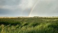 sarah's rainbow thumbnail