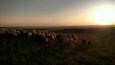 sun thumbnail