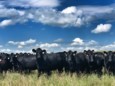 Ranch tour thumbnail